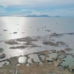 Flycam hiện trạng dự án đô thị lấn biển Cần Giờ sau gần nửa năm khởi công - Ảnh 1.