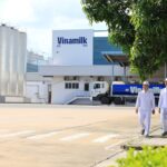 'Mưa' cổ tức tiền mặt: Một ông lớn chi tỉ lệ 'sốc' 480%, Vinamilk cũng trả gần 6.000 tỉ - Ảnh 1.