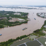 Thaigroup xin rút đề xuất nghiên cứu dự án cầu Cần Giờ, Thủ Thiêm 4, Phú Mỹ 2 - Ảnh 1.