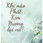 Khi nào Phất Kim Hương lại nở?