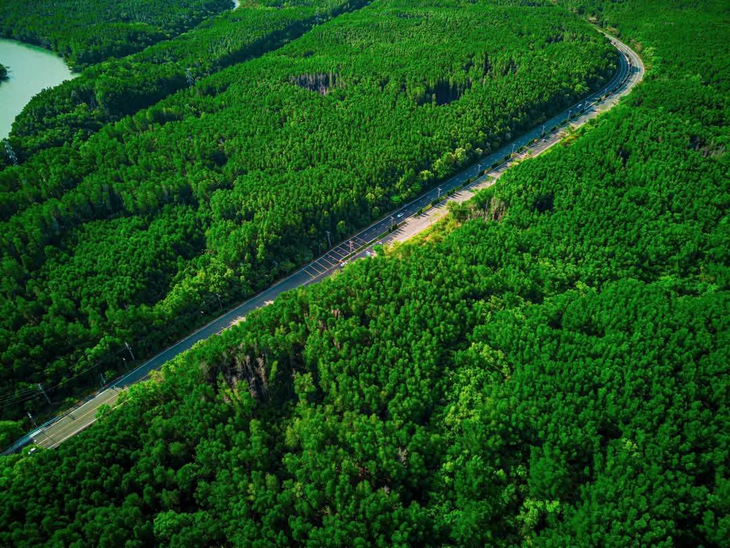 'Vàng trắng' Cần Giờ được tôn vinh - Ảnh 1.