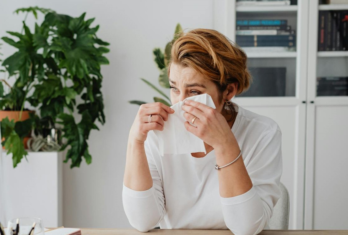 Cố che giấu lỗi lầm bằng một đám cưới giả, tôi đánh mất cả gia đình