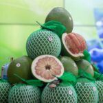 Bưởi Việt Nam chính thức sang Úc, việt quất Úc sang Việt Nam - Ảnh 1.